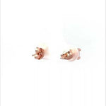 Purpleluck Rose Gold Francia Earrings. Sterling Silver Solitaire Studs for women and girls everyday wear