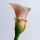 The Ophelia 925 Silver Ring