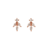Florence 925 Silver Earrings